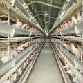 High quality galvanized layer chicken cage with drinking system